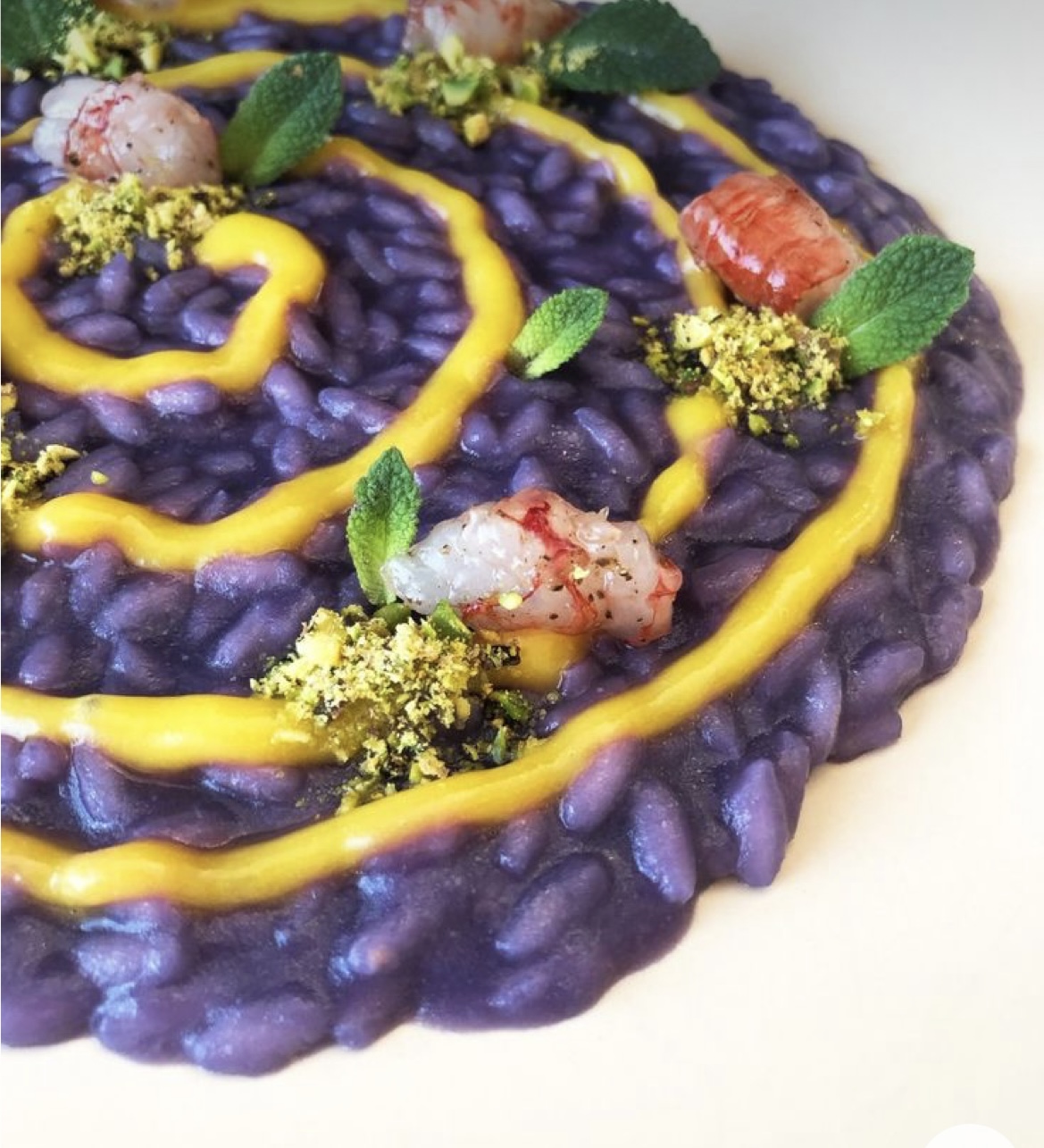 Purple risotto plated during a Chef in Tuscany cooking lesson
